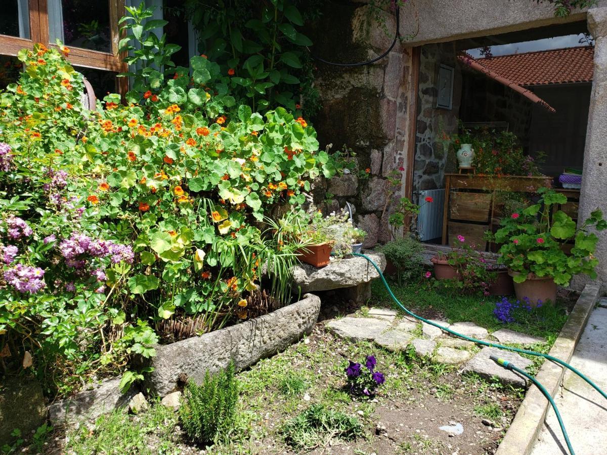 Casa Rural Do Fontan Casa de hóspedes Pontevedra Exterior foto